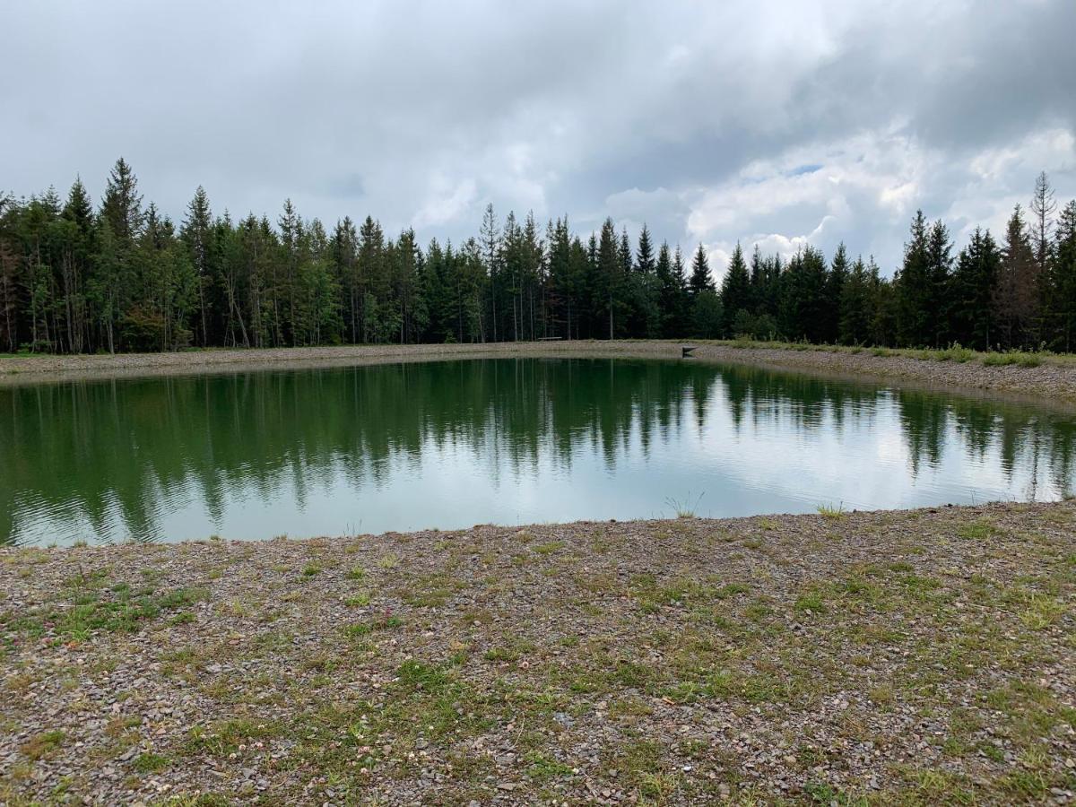 Residenz Schauinsland Todtnauberg - Fewo 17 - Sauna - Spielzimmer Fuer Kinder - Naehe Feldberg ภายนอก รูปภาพ