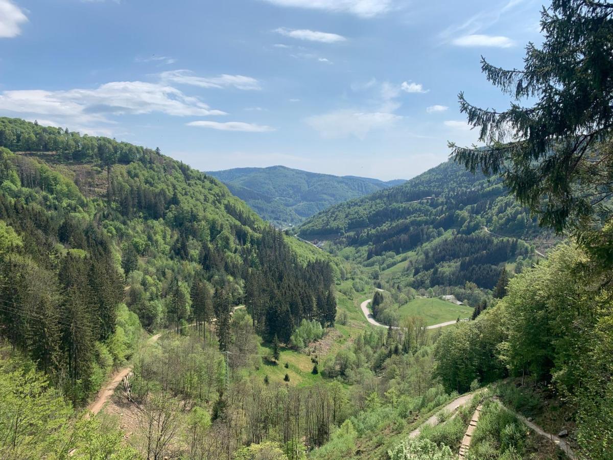 Residenz Schauinsland Todtnauberg - Fewo 17 - Sauna - Spielzimmer Fuer Kinder - Naehe Feldberg ภายนอก รูปภาพ