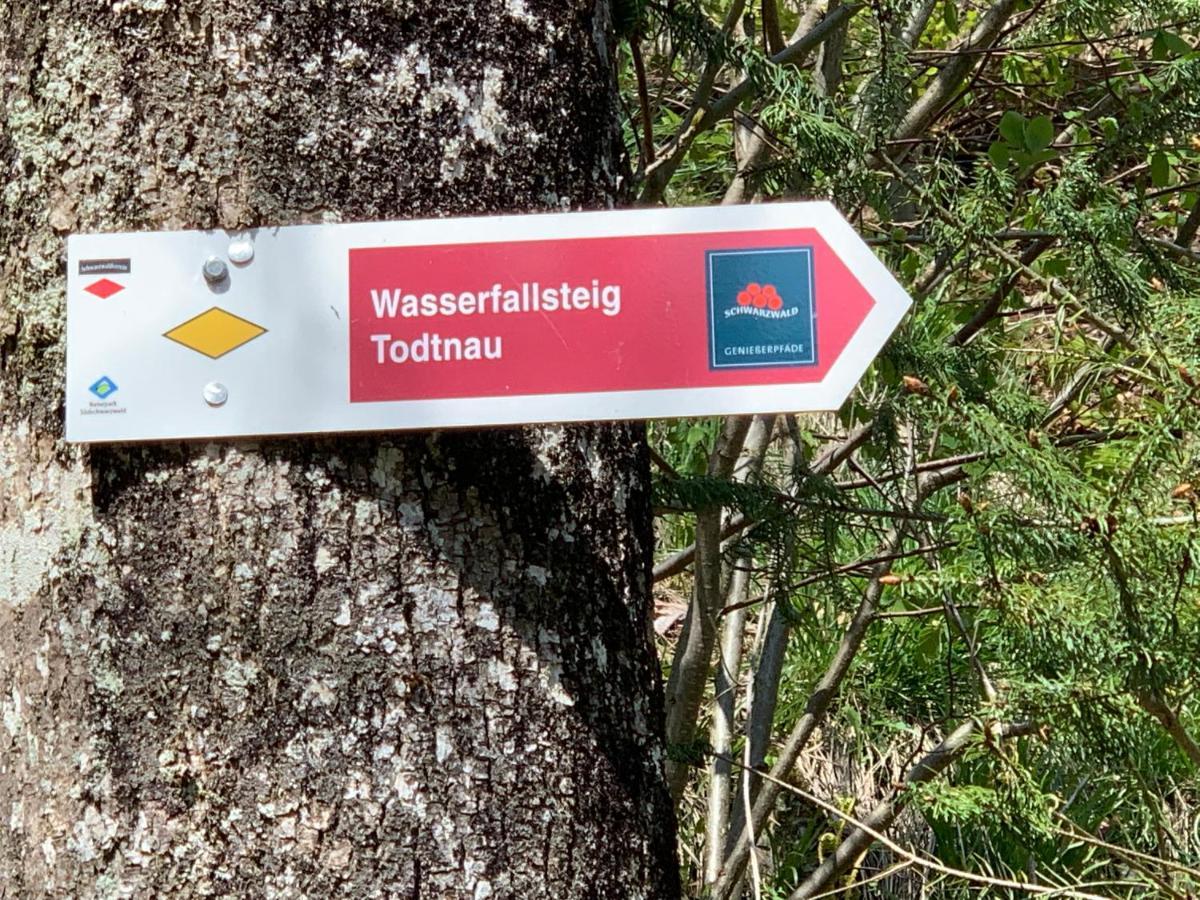 Residenz Schauinsland Todtnauberg - Fewo 17 - Sauna - Spielzimmer Fuer Kinder - Naehe Feldberg ภายนอก รูปภาพ